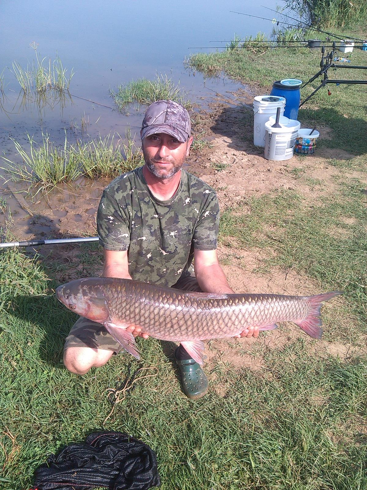 Pescuit- Balta Blejesti Sericu -sezon 2016 - TEN 9 KG